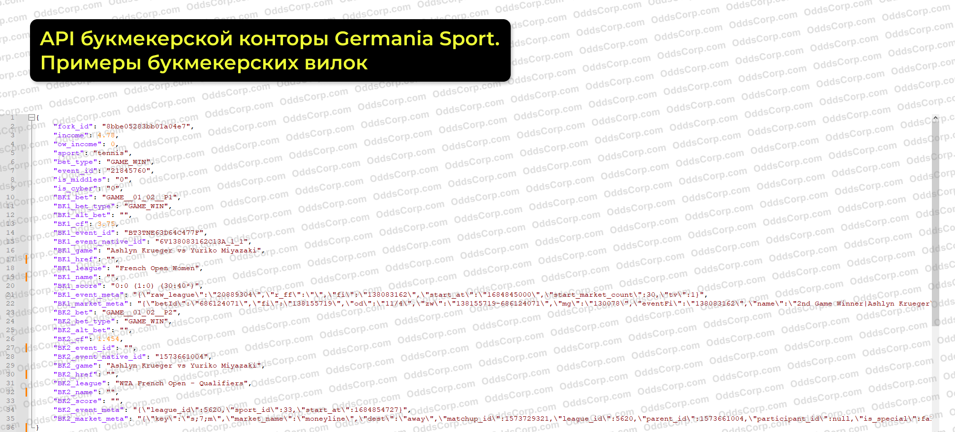 germania-sport-api-bukmekerskie-vilki.png