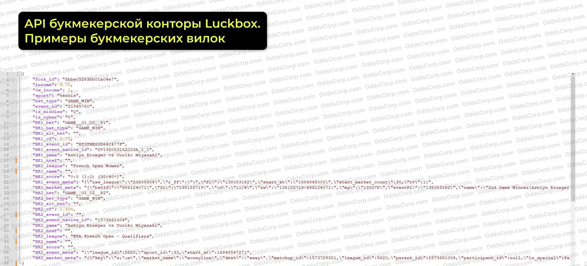luckbox-api-bukmekerskie-vilki.png
