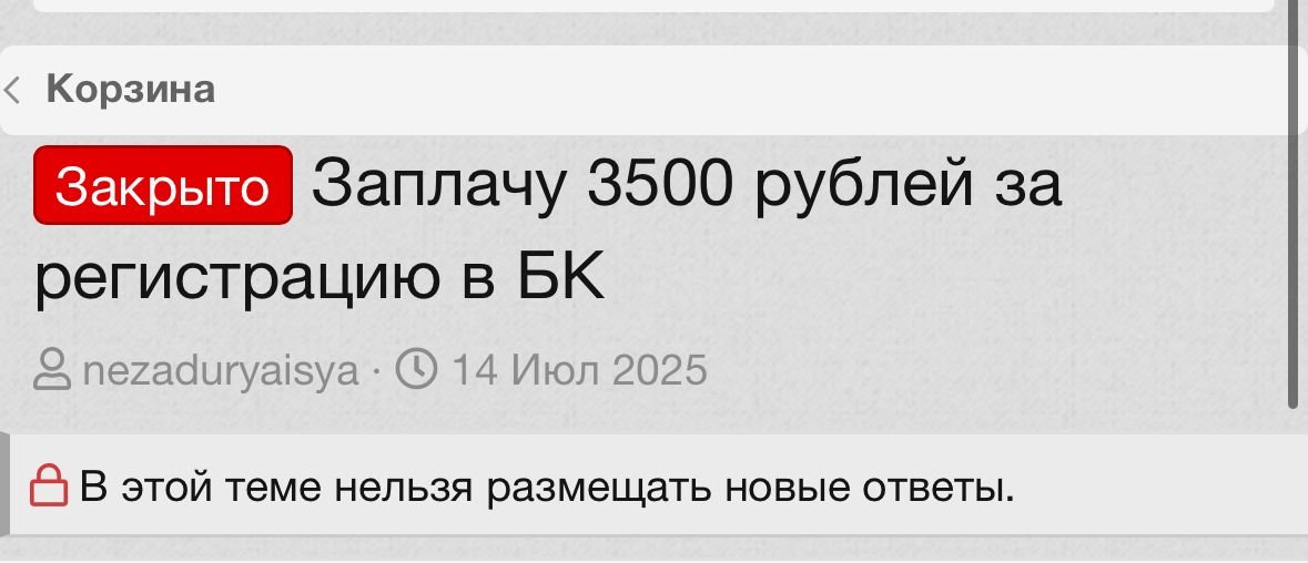 IMG_0962.jpeg
