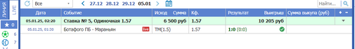 отчет батофого марьян.png